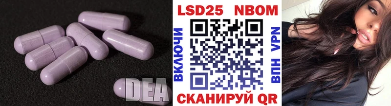 kraken   Ленинск-Кузнецкий  LSD-25 экстази ecstasy 