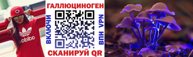 как найти закладки  Ленинск-Кузнецкий  Псилоцибиновые грибы GOLDEN TEACHER 