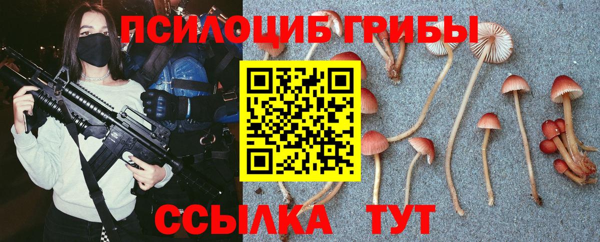 Ленинск-Кузнецкий  Галлюциногенные грибы мицелий  Галлюциногенные грибы мухоморы  Вход с VPN 